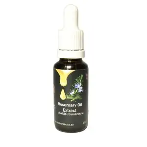 Rosemary Oil Therapeutic Cold Press Extract 20ml