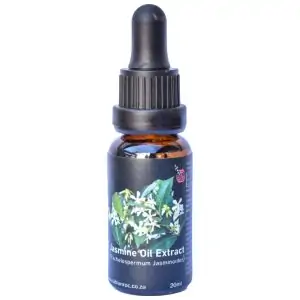 Jasmine Oil Therapeutic Cold Press Extract 20ml